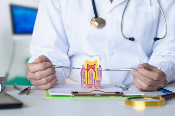 Best Emergency Treatment for Dental Infections or Abscesses in Prestonsburg, KY
